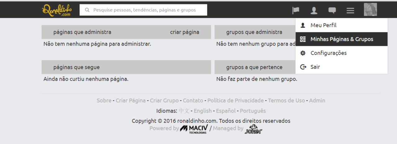 GErenciador de páginas