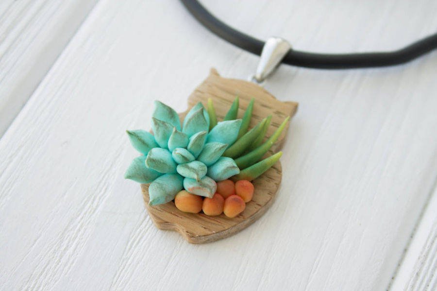 succulents-9-900x599