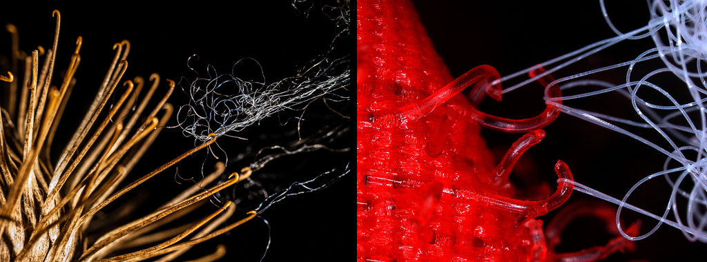 Imagem microscópica de um carrapicho e de um velcro
