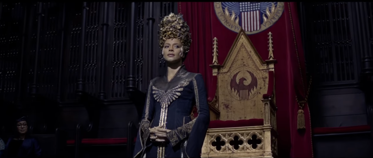 contra-plongee-animais